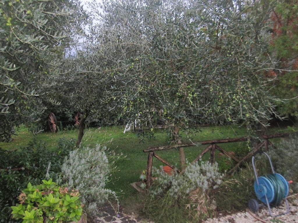 Santa Croce Villa Fossato di Vico Екстериор снимка