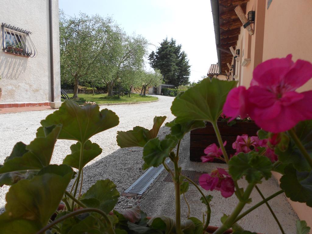 Santa Croce Villa Fossato di Vico Екстериор снимка